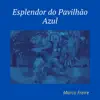 Marco Freire, Patrick Araújo & A.F.C.R Tribo Muirapinima - Esplendor do Pavilhão Azul (feat. Regional Filhos da Terra) - Single